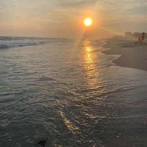 Meet your Posher, Katelyn